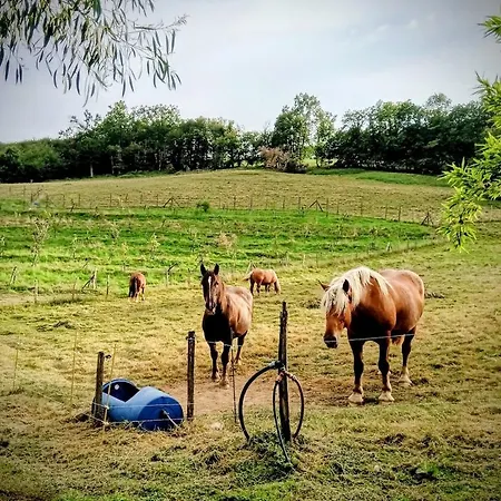 Le Champ Des Grenouilles - Ecologique A La Ferme